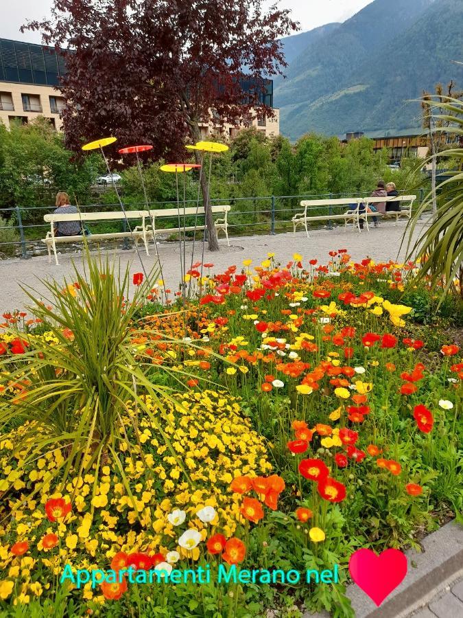 Nel Cuore Merano